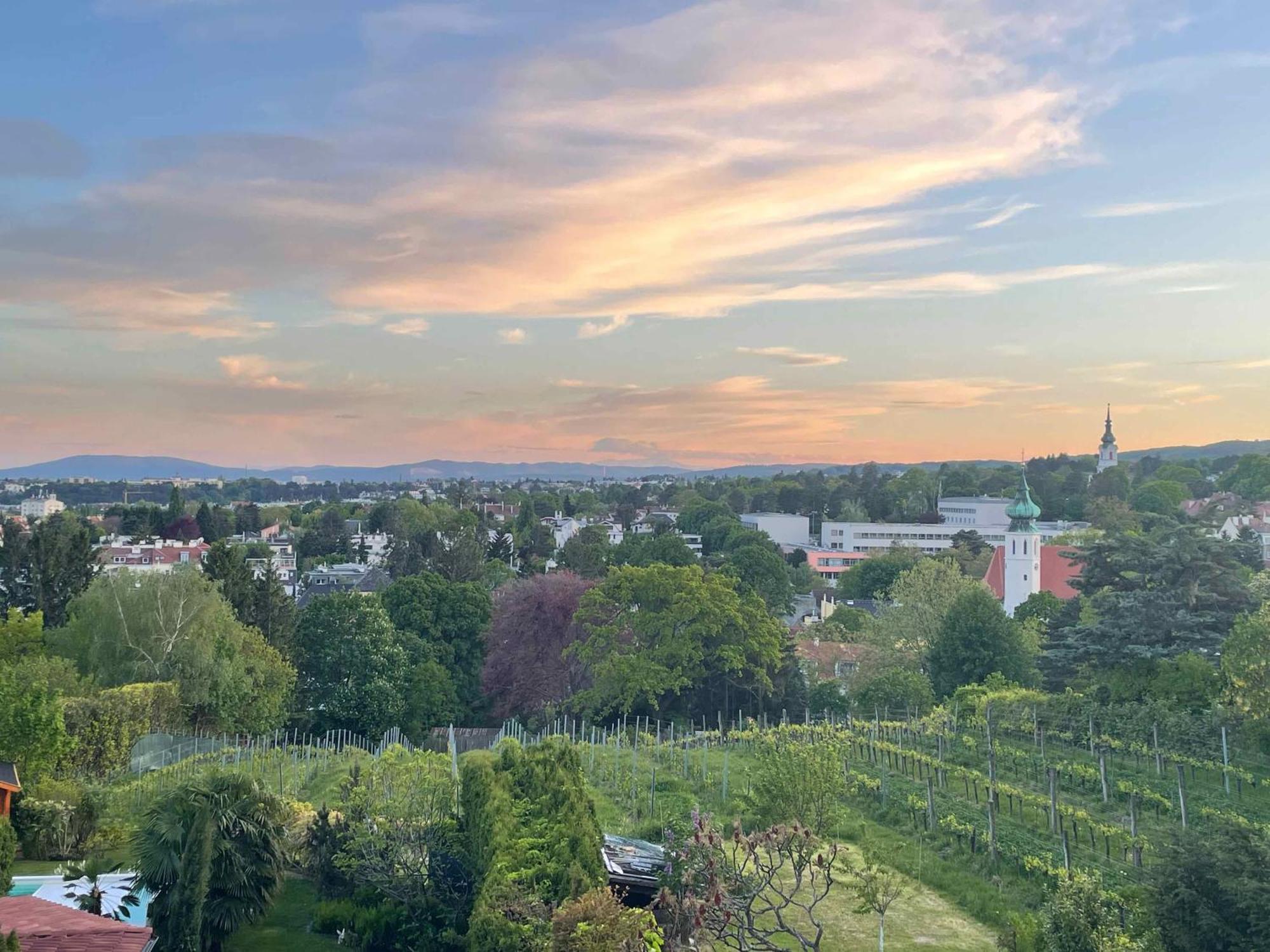 Herrlicher Ausblick Ueber Wien Eksteriør bilde